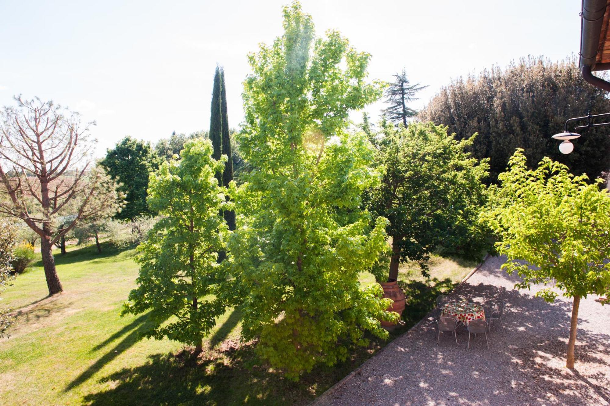 Agriturismo Villa La Morina Cortona Exterior foto